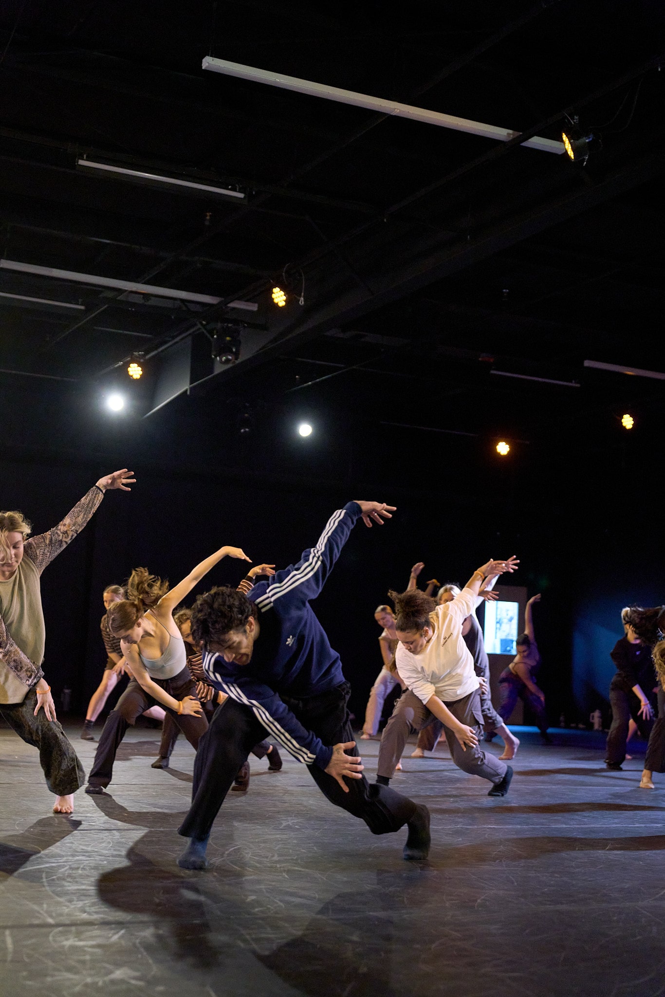 conservatory highlight